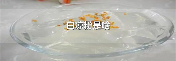 白凉粉是啥
