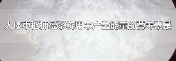 人体中枢神经系统用来产生能量的营养素是