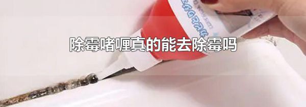 除霉啫喱真的能去除霉吗
