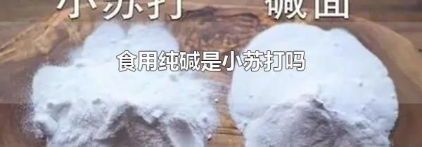食用纯碱是小苏打吗