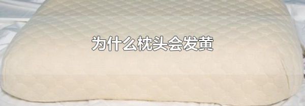 为什么枕头会发黄