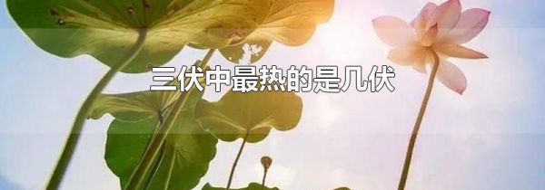 三伏中最热的是几伏