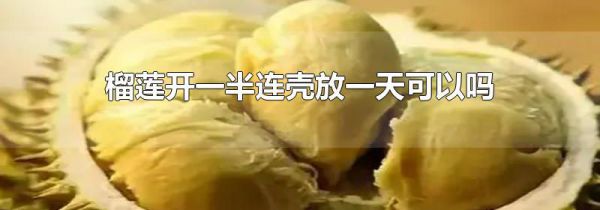 榴莲开一半连壳放一天可以吗