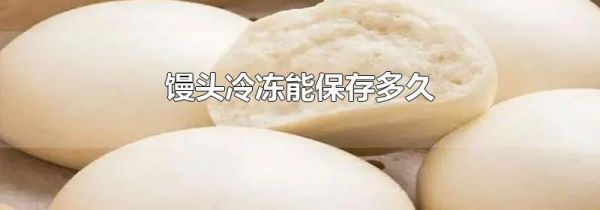 馒头冷冻能保存多久
