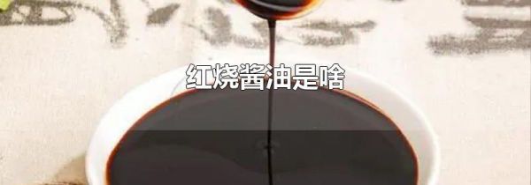 红烧酱油是啥