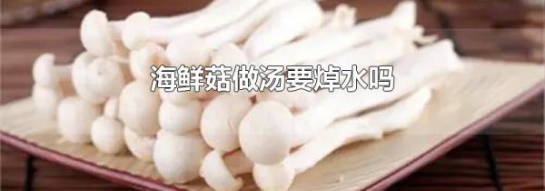 海鲜菇做汤要焯水吗