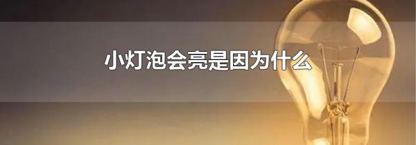 小灯泡会亮是因为什么