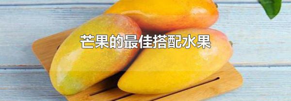 芒果的最佳搭配水果