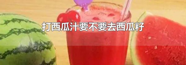打西瓜汁要不要去西瓜籽