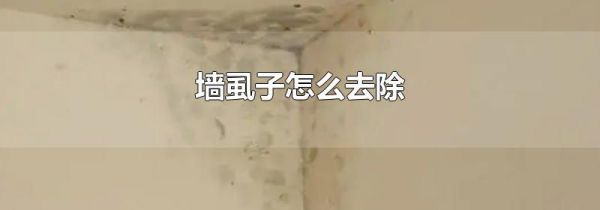 墙虱子怎么去除