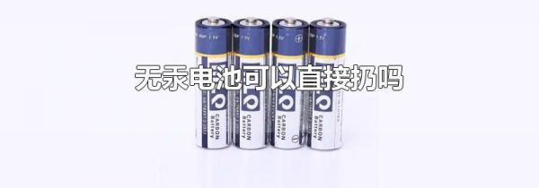 无汞电池可以直接扔吗