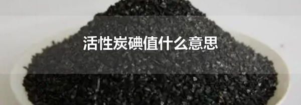 活性炭碘值什么意思