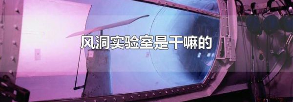 风洞实验室是干嘛的