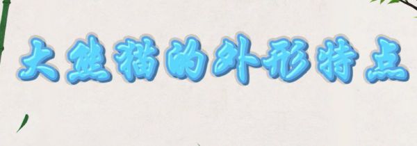 大熊猫的外形特点