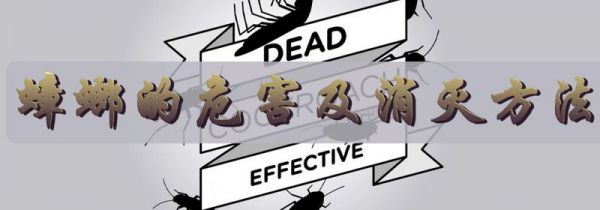 蟑螂的危害及消灭方法