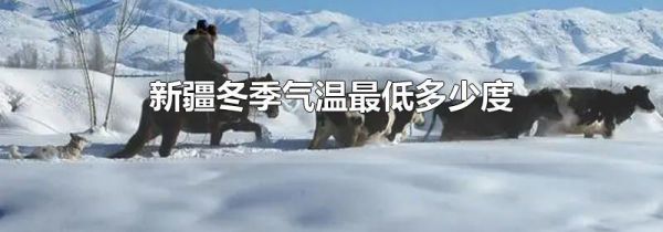 新疆冬季气温最低多少度