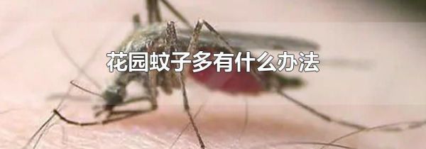 花园蚊子多有什么办法