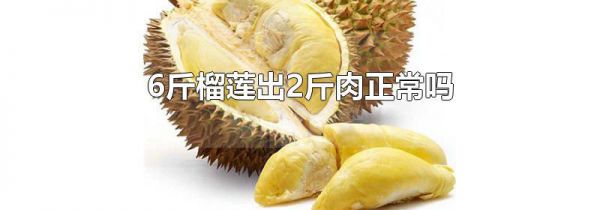 6斤榴莲出2斤肉正常吗