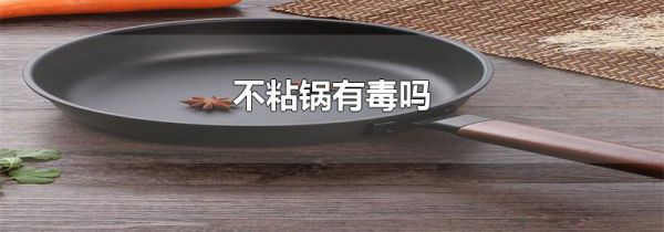 不粘锅有毒吗