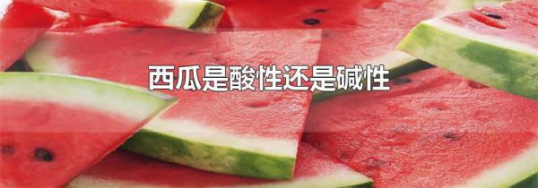 西瓜是酸性还是碱性