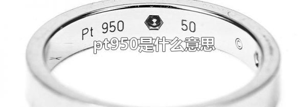 pt950是什么意思