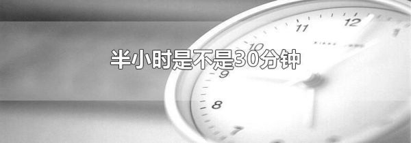 半小时是不是30分钟