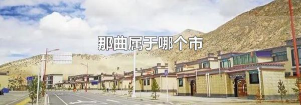 那曲属于哪个市