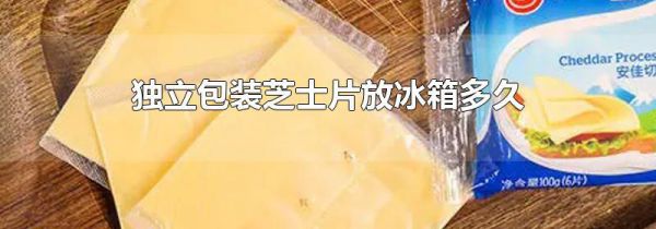 独立包装芝士片放冰箱多久
