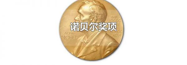 诺贝尔奖项