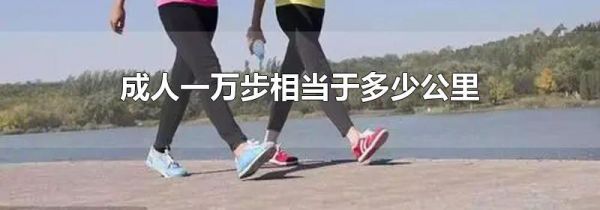 成人一万步相当于多少公里
