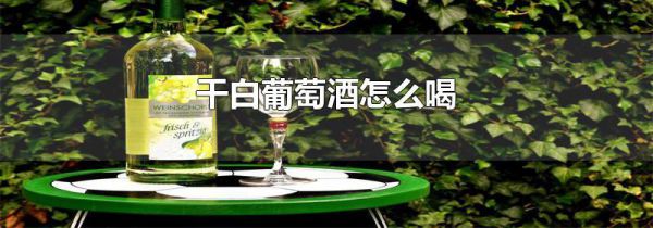 干白葡萄酒怎么喝