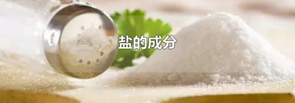 盐的成分