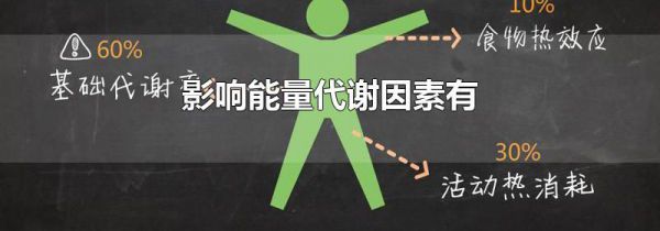 影响能量代谢的因素有