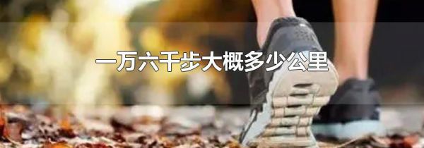 一万六千步大概多少公里