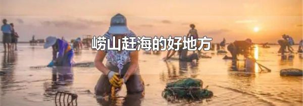 崂山赶海的好地方