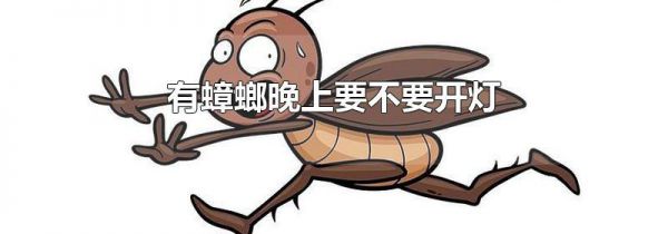 有蟑螂晚上要不要开灯