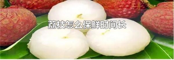 荔枝怎么保鲜时间长