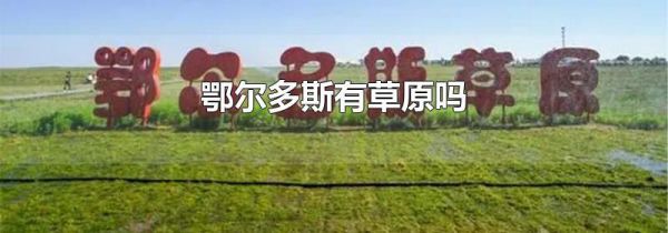 鄂尔多斯有草原吗
