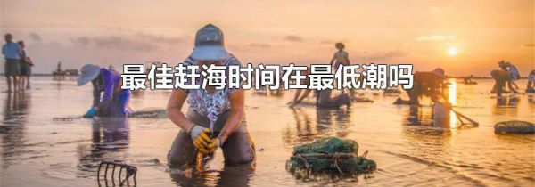 最佳赶海时间在最低潮吗