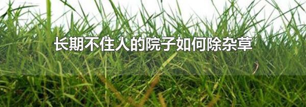 长期不住人的院子如何除杂草