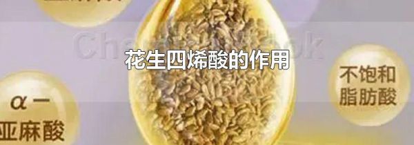 花生四烯酸的作用