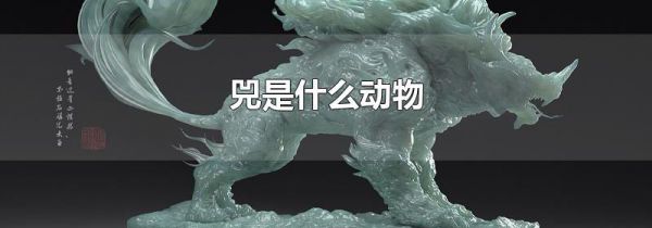 兕是什么动物