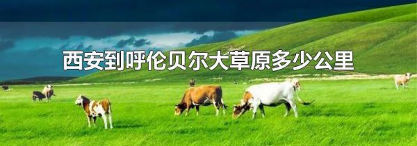 西安到呼伦贝尔大草原多少公里