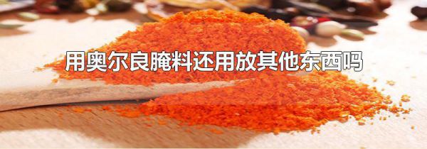用奥尔良腌料还用放其他东西吗