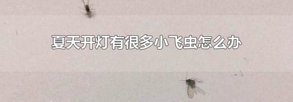 夏天开灯有很多小飞虫怎么办