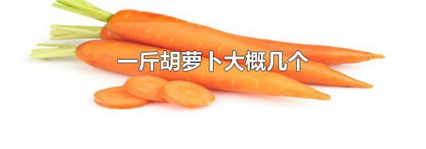 一斤胡萝卜大概几个