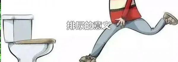 排尿的意义