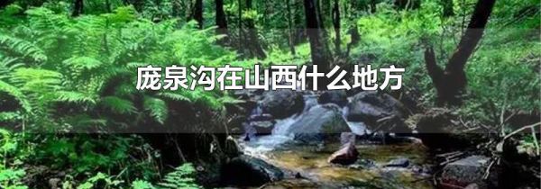 庞泉沟在山西什么地方