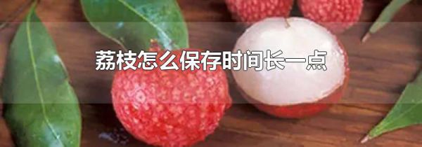 荔枝怎么保存时间长一点