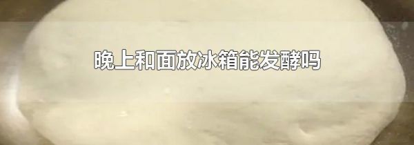 晚上和面放冰箱能发酵吗